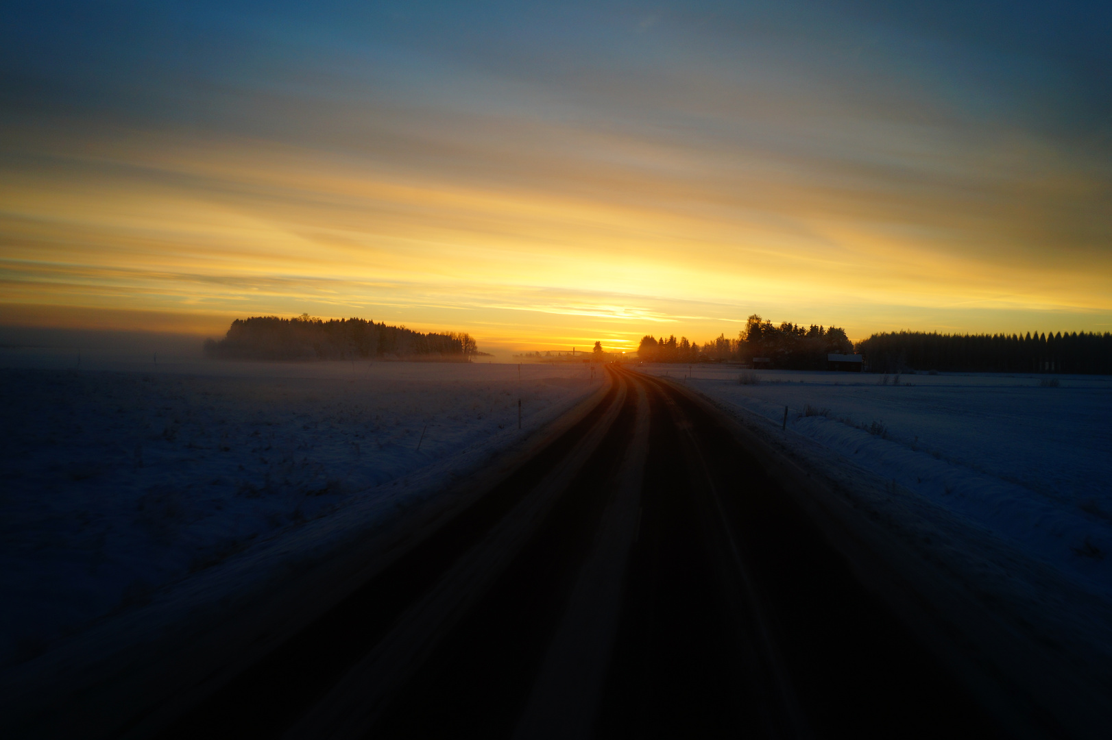 der Sonne entgegen