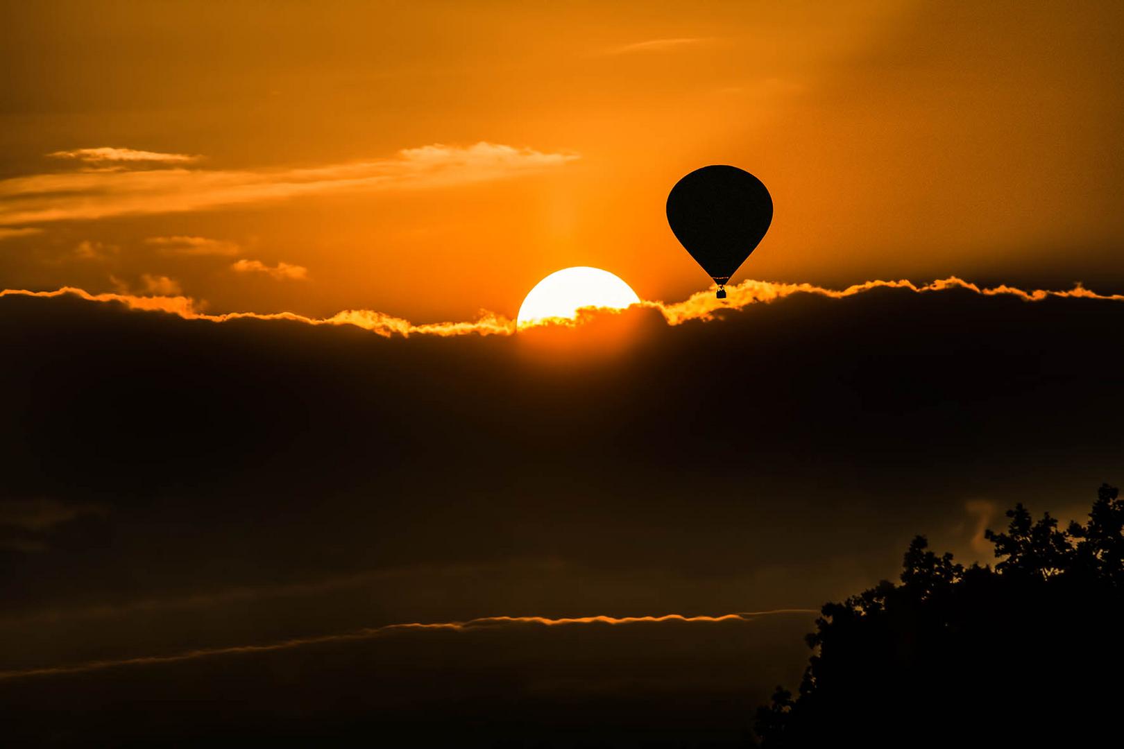 Der Sonne entgegen