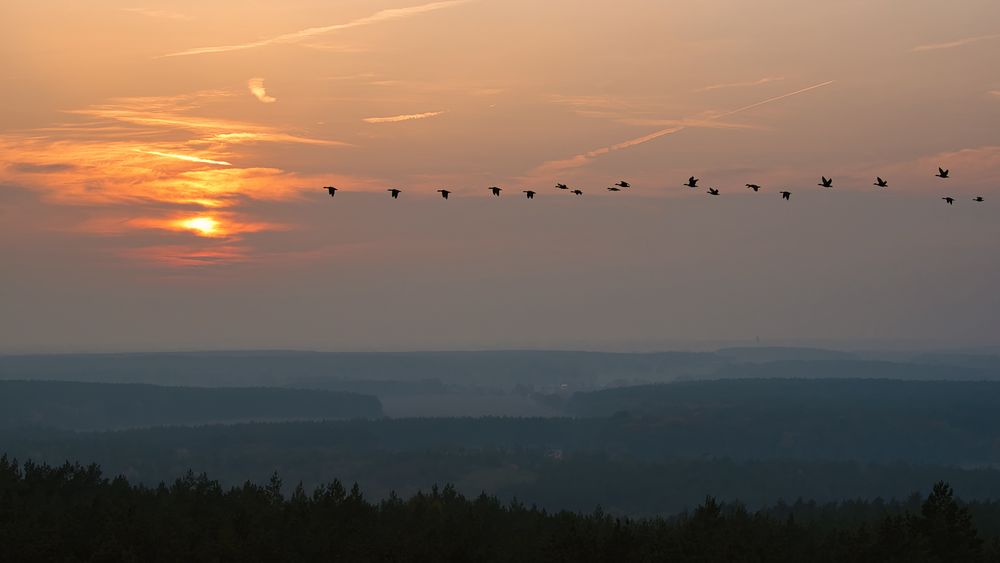 Der Sonne entgegen