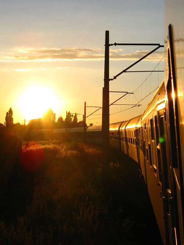 Der Sonne entgegen