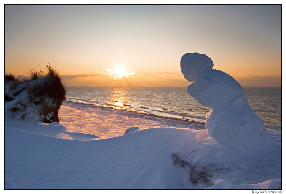 Der Sonne entgegen