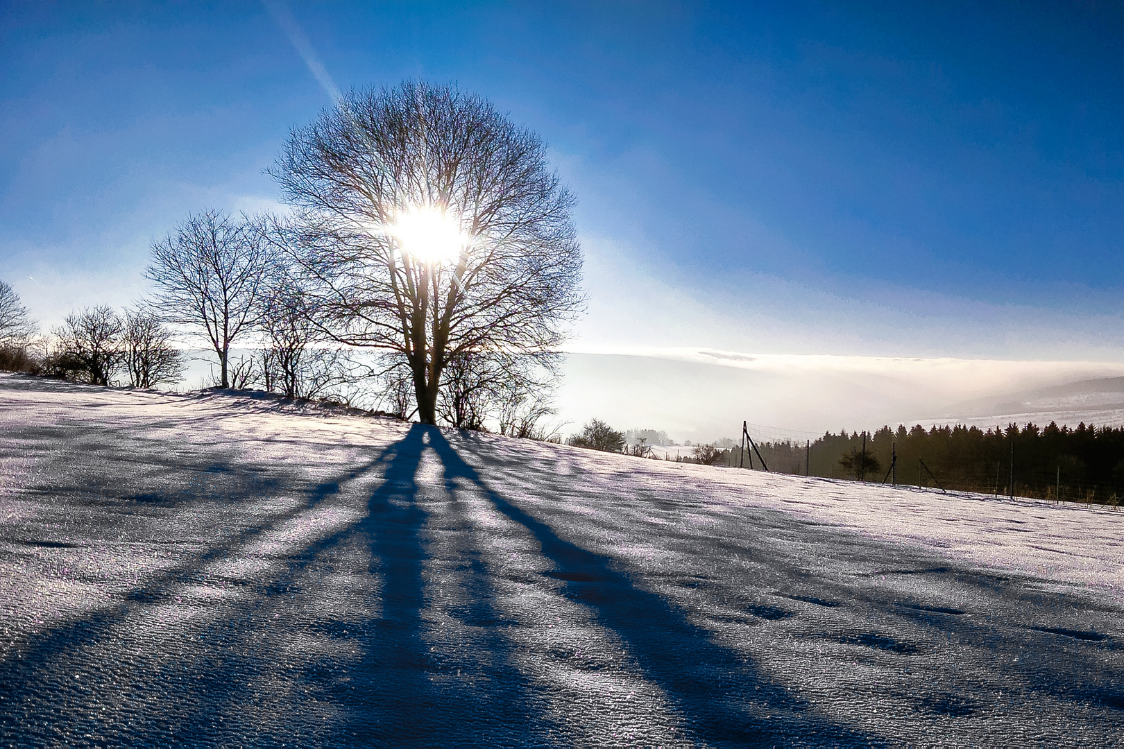 Der Sonne entgegen