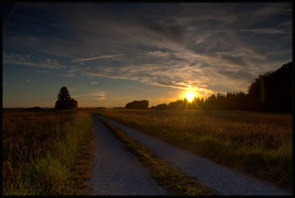 der Sonne entgegen