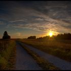 der Sonne entgegen