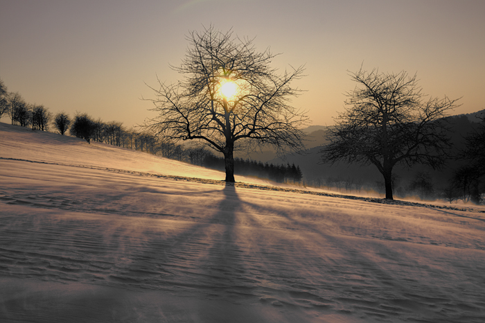 Der Sonne entgegen...