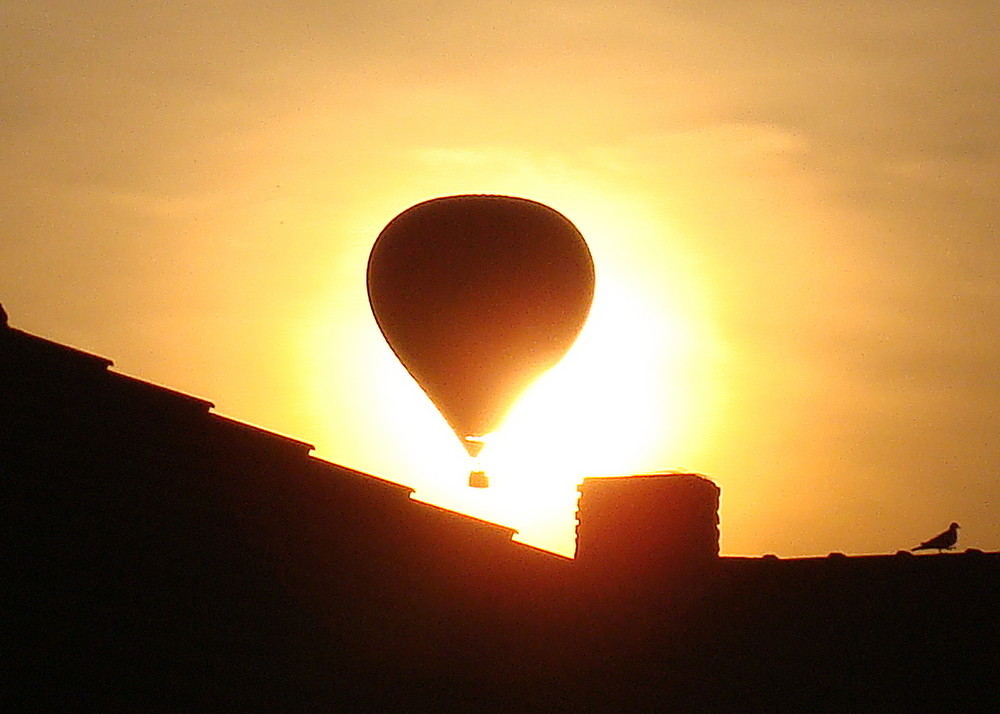 Der Sonne entgegen