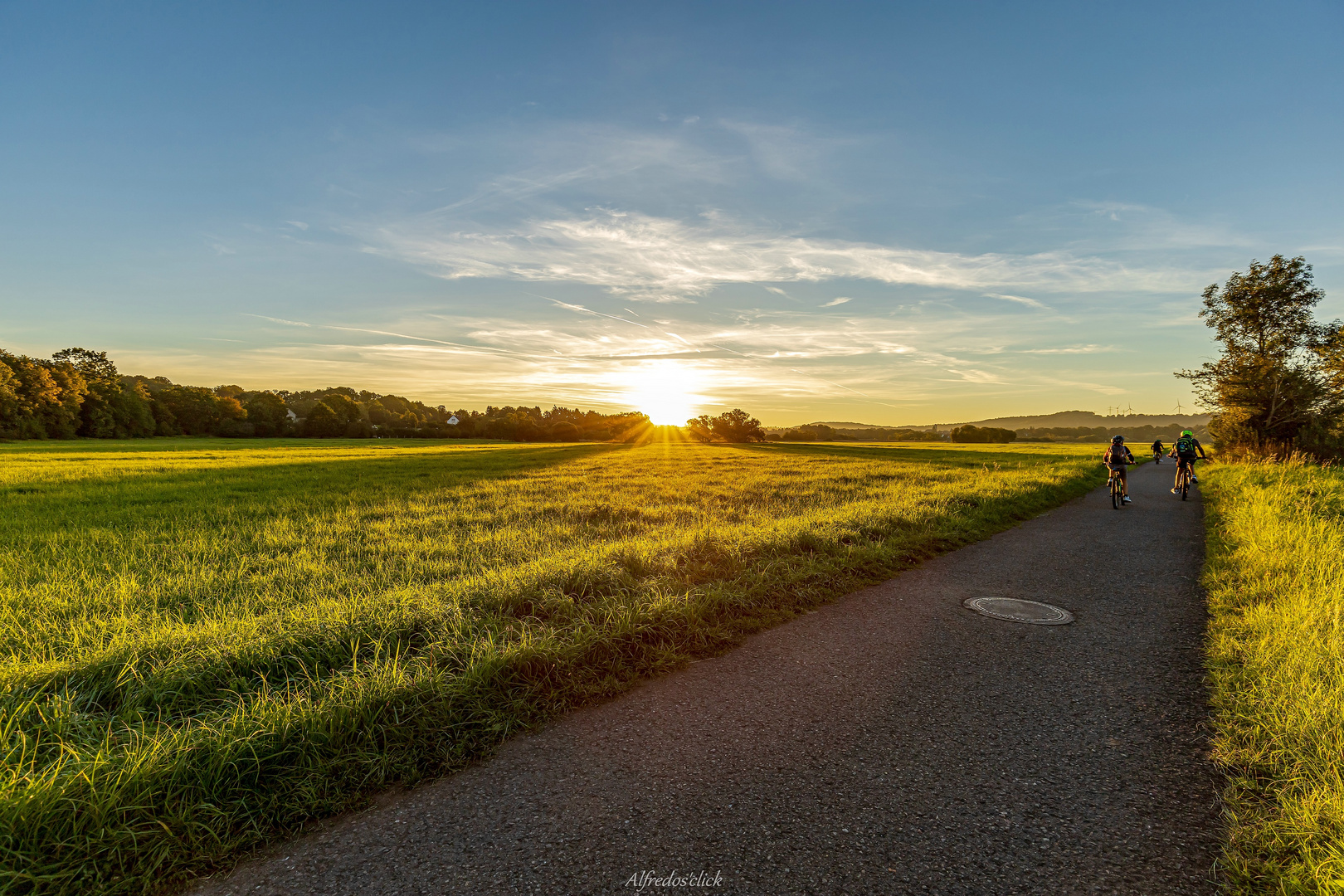 Der Sonne entgegen.