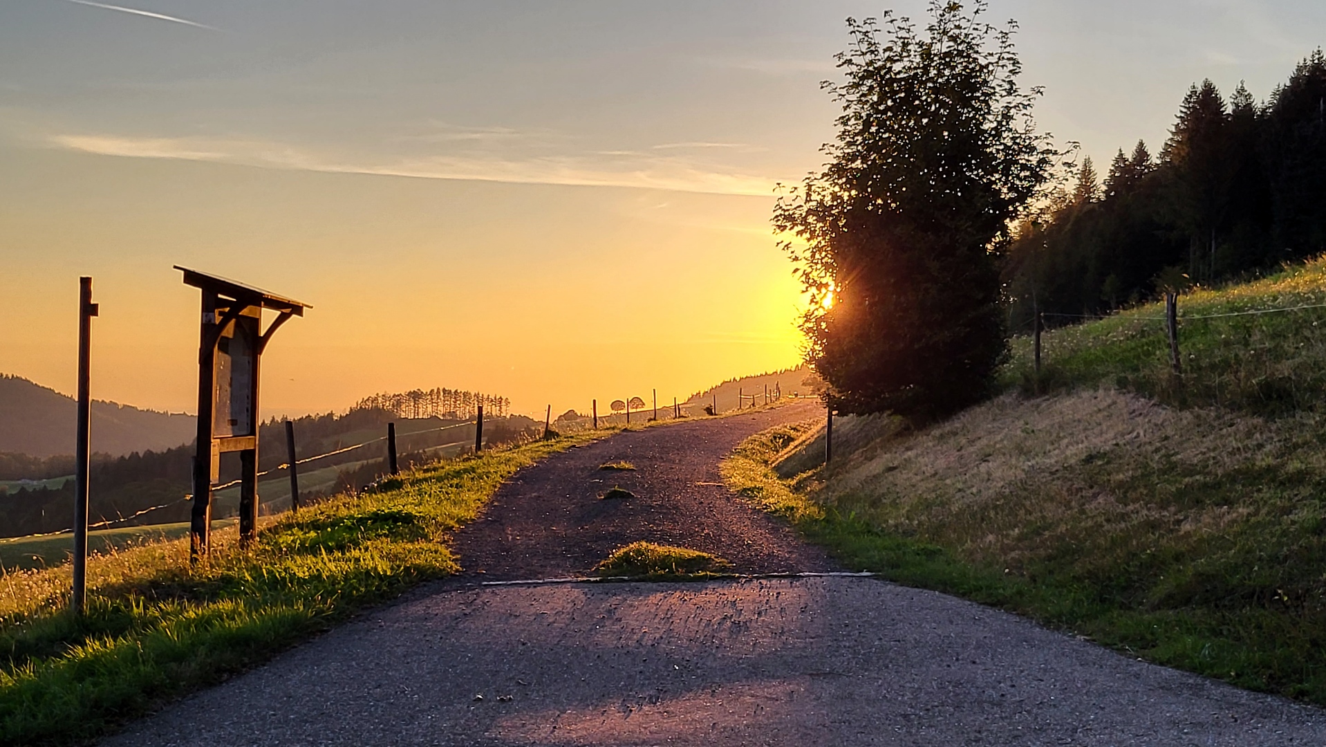 Der Sonne entgegen