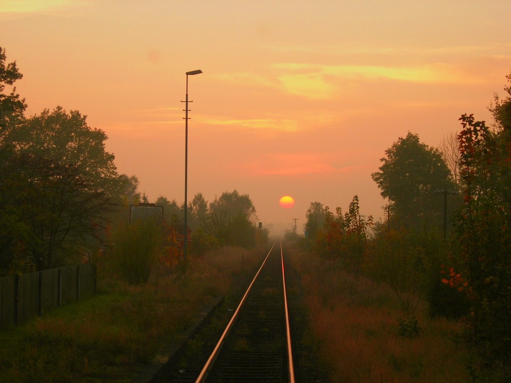 Der Sonne entgegen