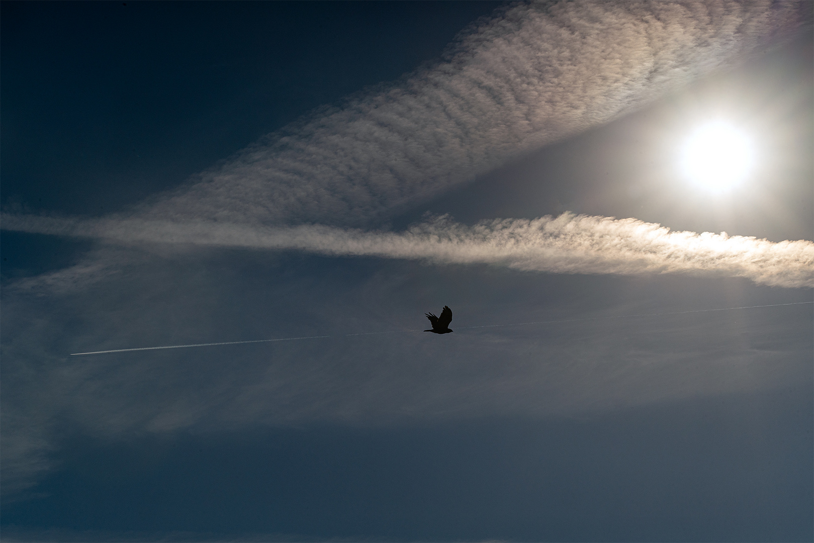 Der Sonne entgegen