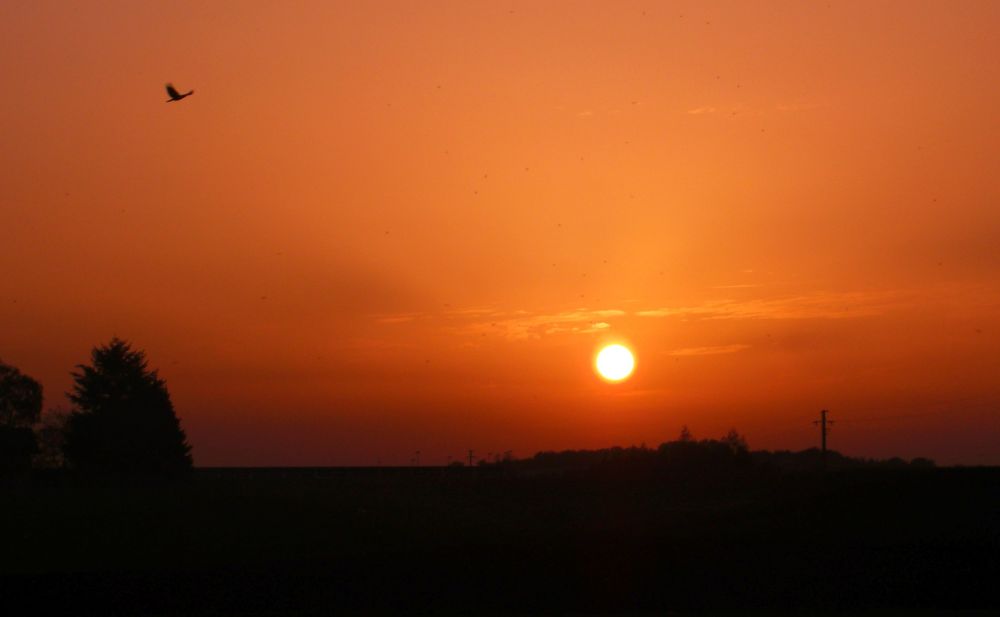 der Sonne entgegen