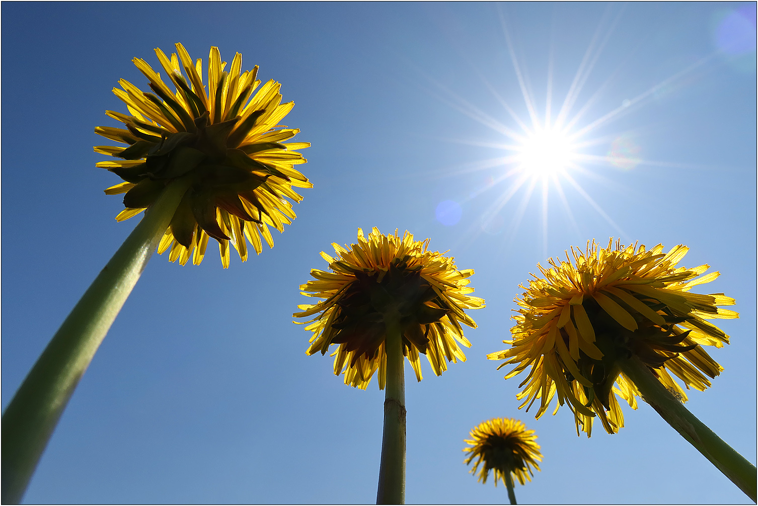 Der Sonne entgegen...