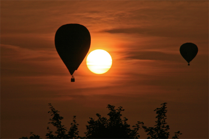 der Sonne entgegen