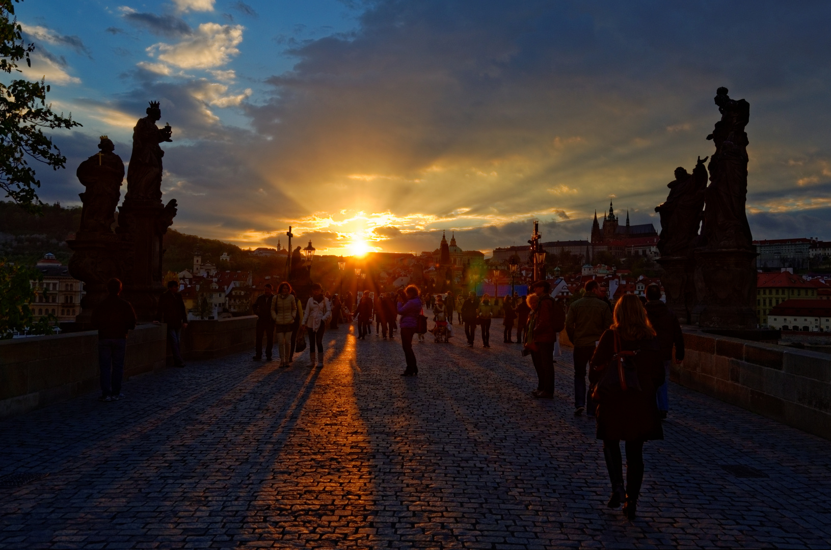 Der Sonne entgegen