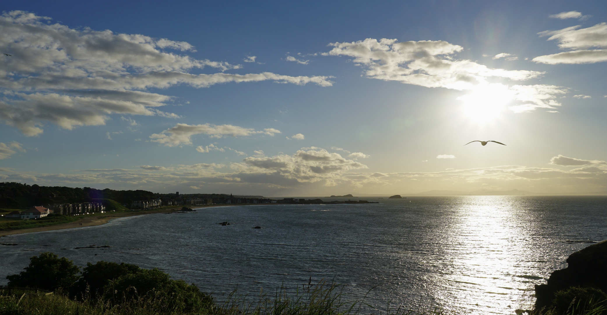 Der Sonne entgegen / Abend am Firth of Forth / Die Möwe 