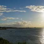 Der Sonne entgegen / Abend am Firth of Forth / Die Möwe 