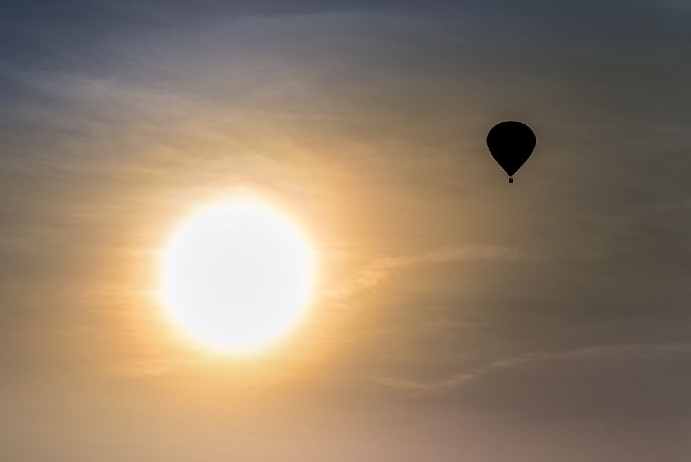 Der Sonne entgegen