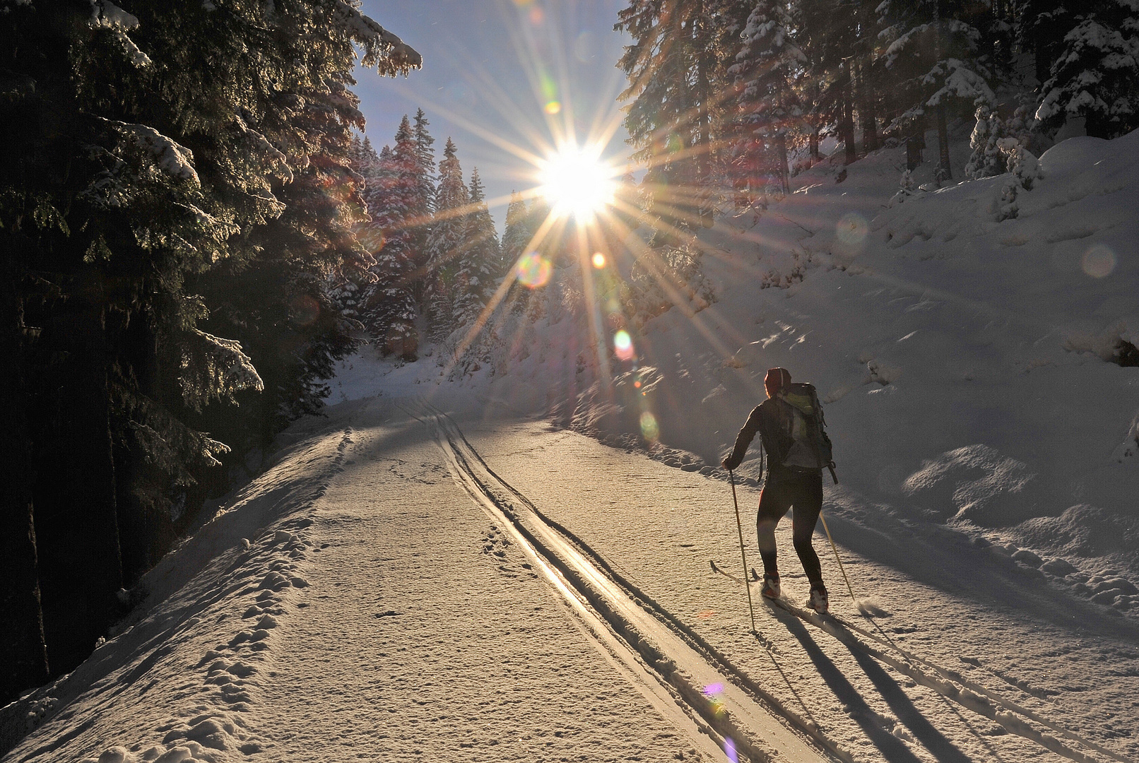 Der Sonne entgegen