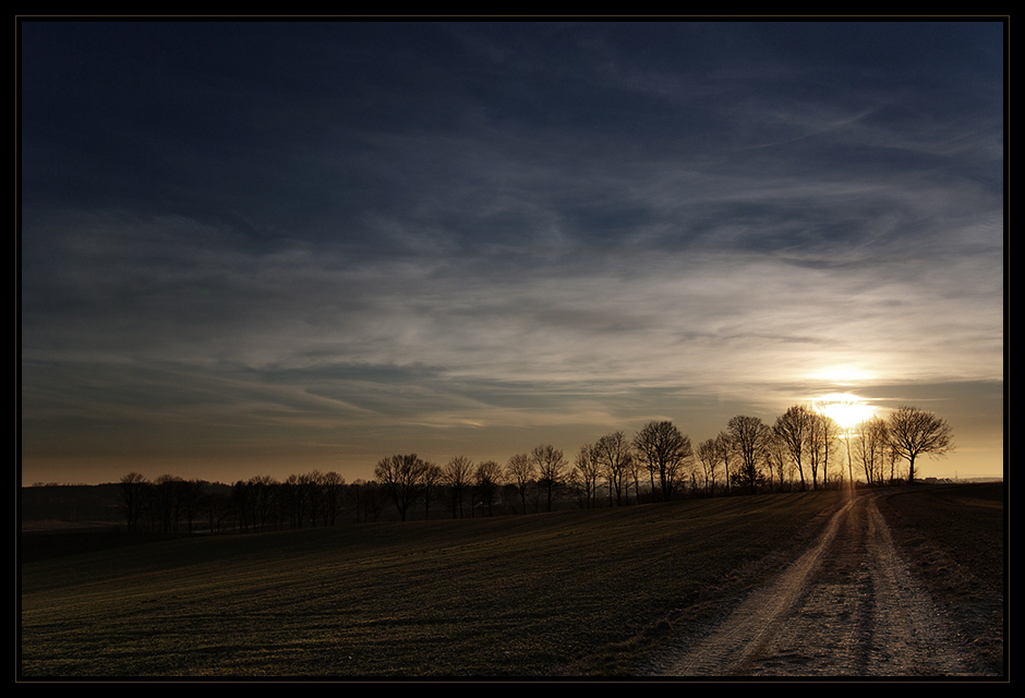 der Sonne entgegen