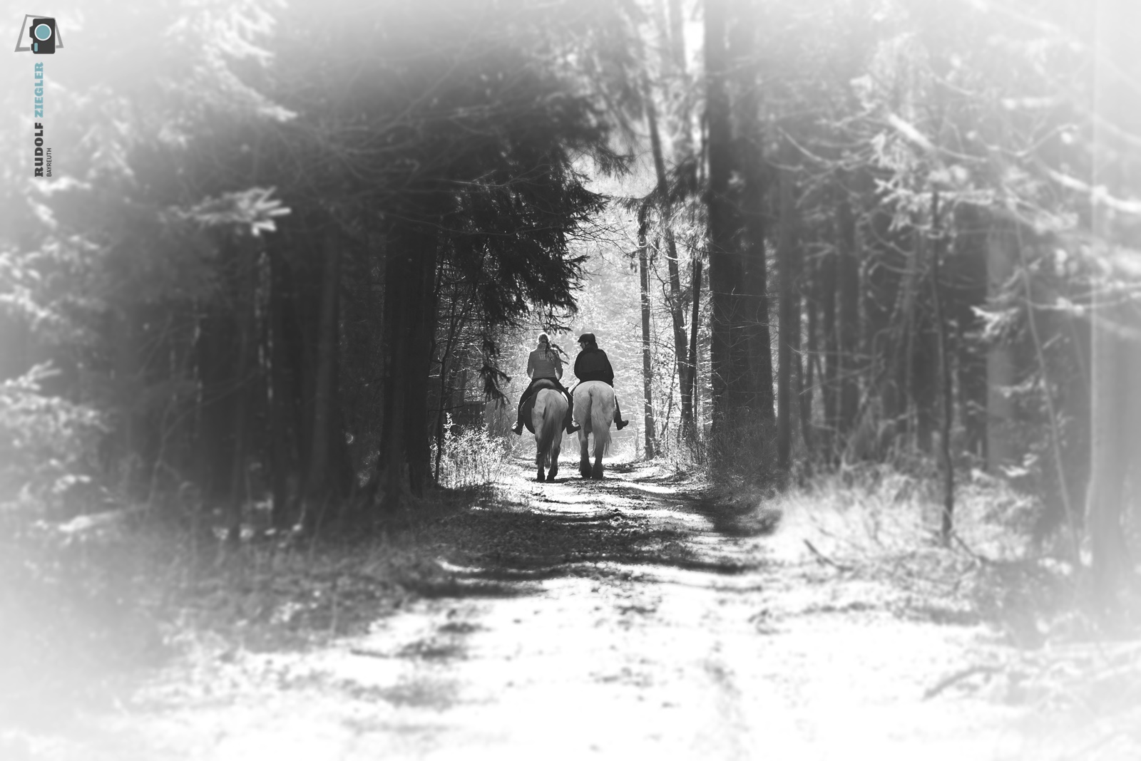 "Der Sonne entgegen!" - Auch wenn der Weg manchmal im Schatten liegt!