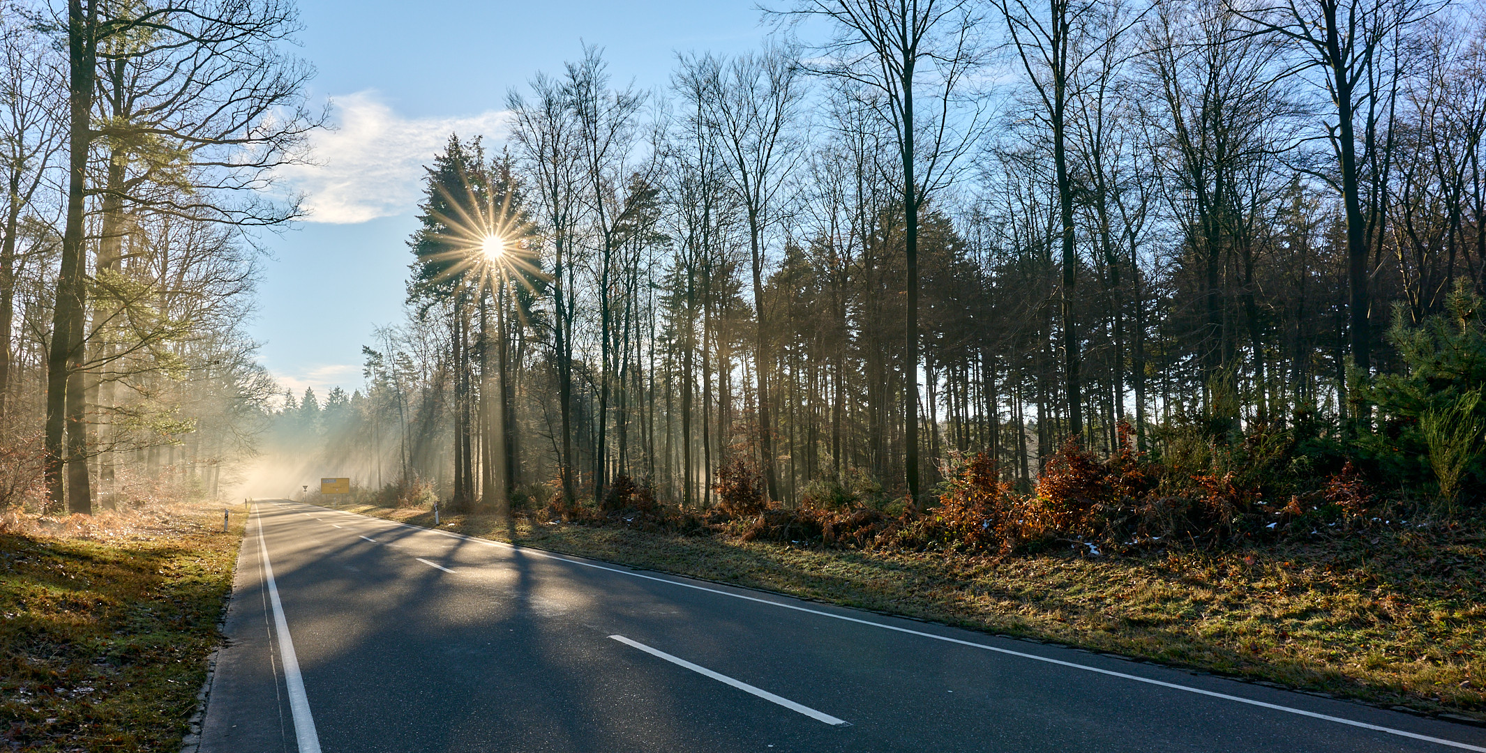 Der Sonne entgegen, auf der Fahrt durch den Pfälzerwald.