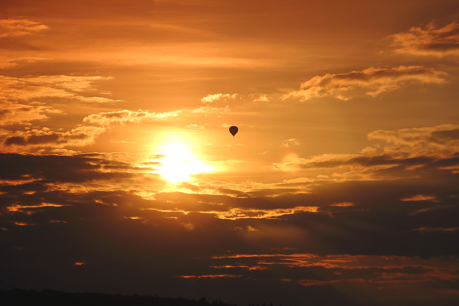 der Sonne entgegen