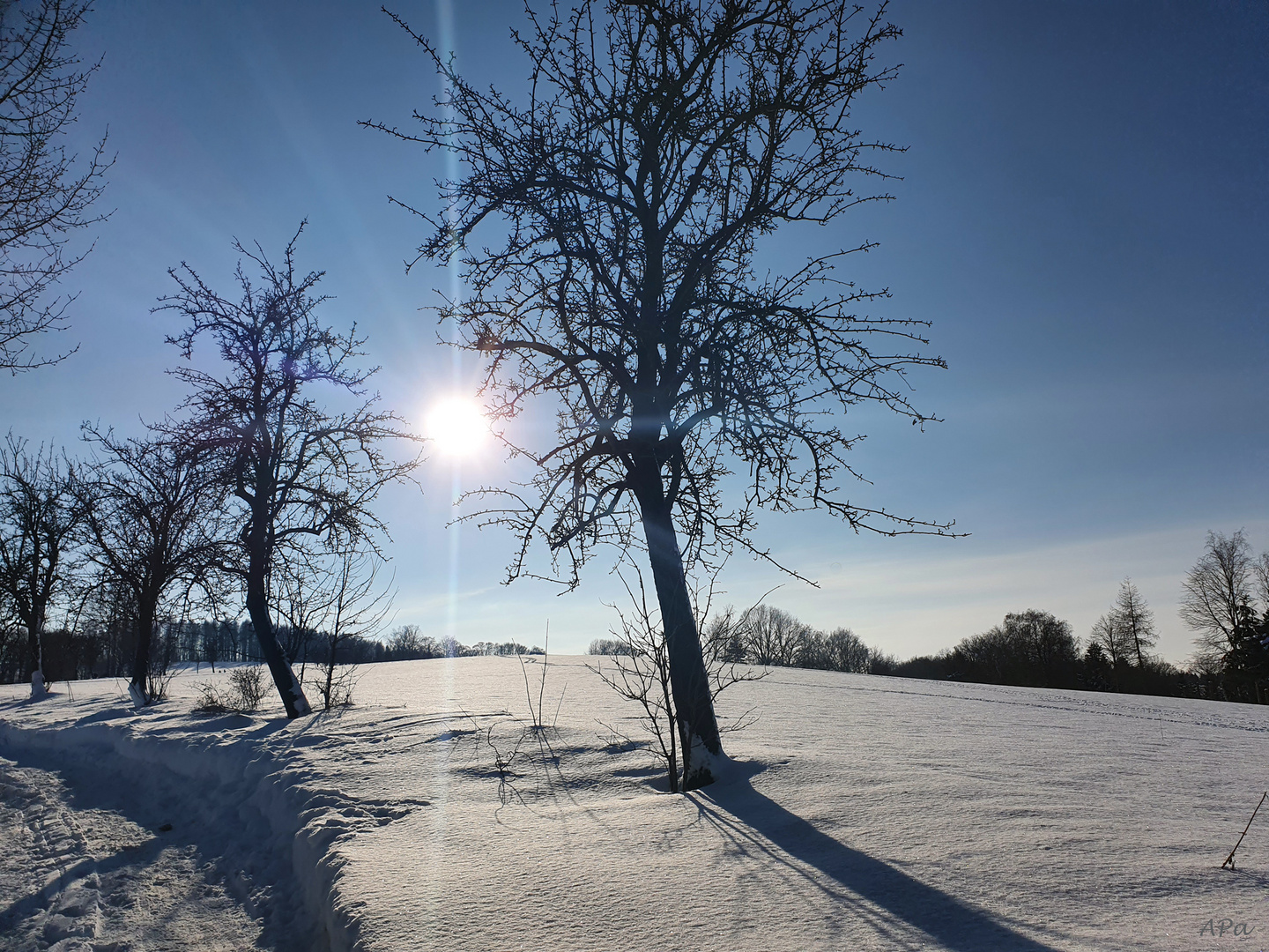 Der Sonne entgegen