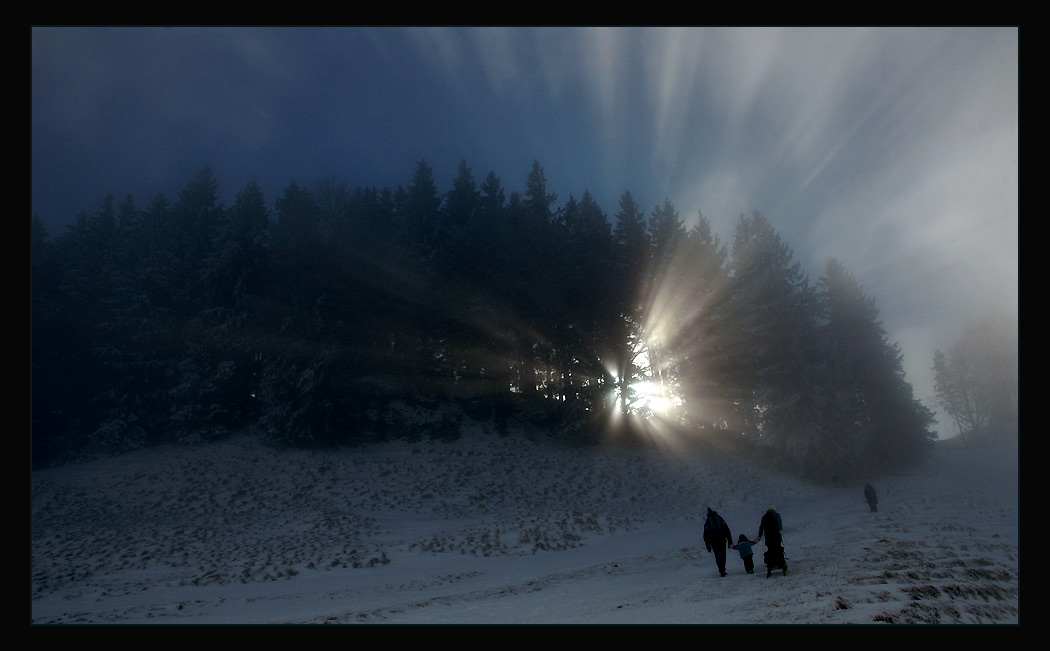 Der Sonne entgegen