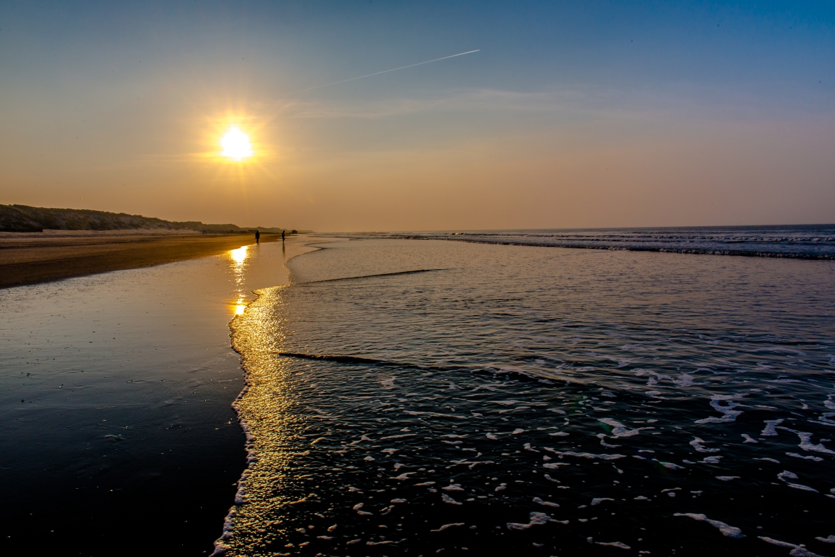 der Sonne entgegen