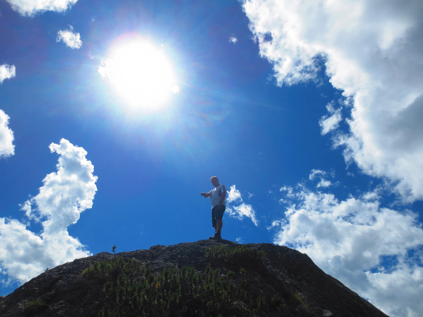 Der Sonne entgegen