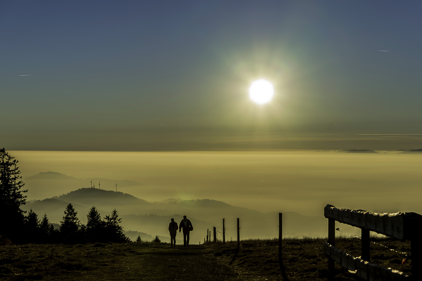 Der Sonne entgegen