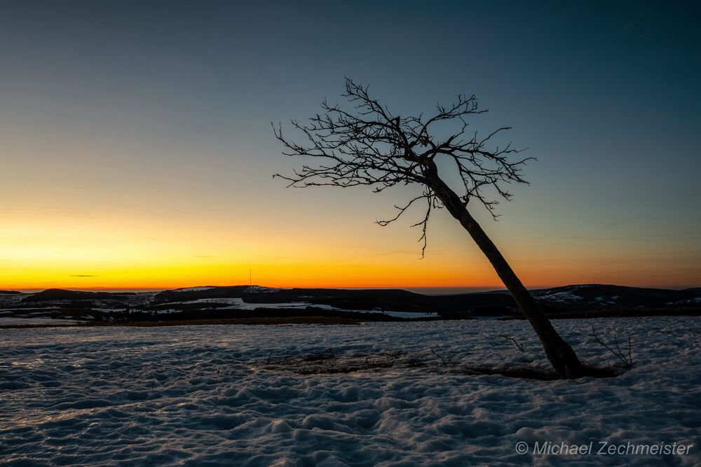 Der Sonne entgegen...
