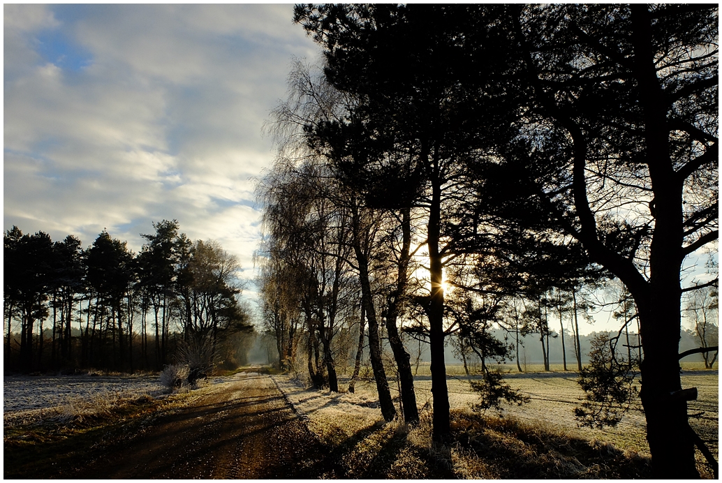 Der Sonne entgegen