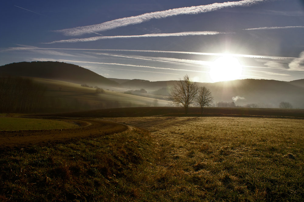 der Sonne entgegen