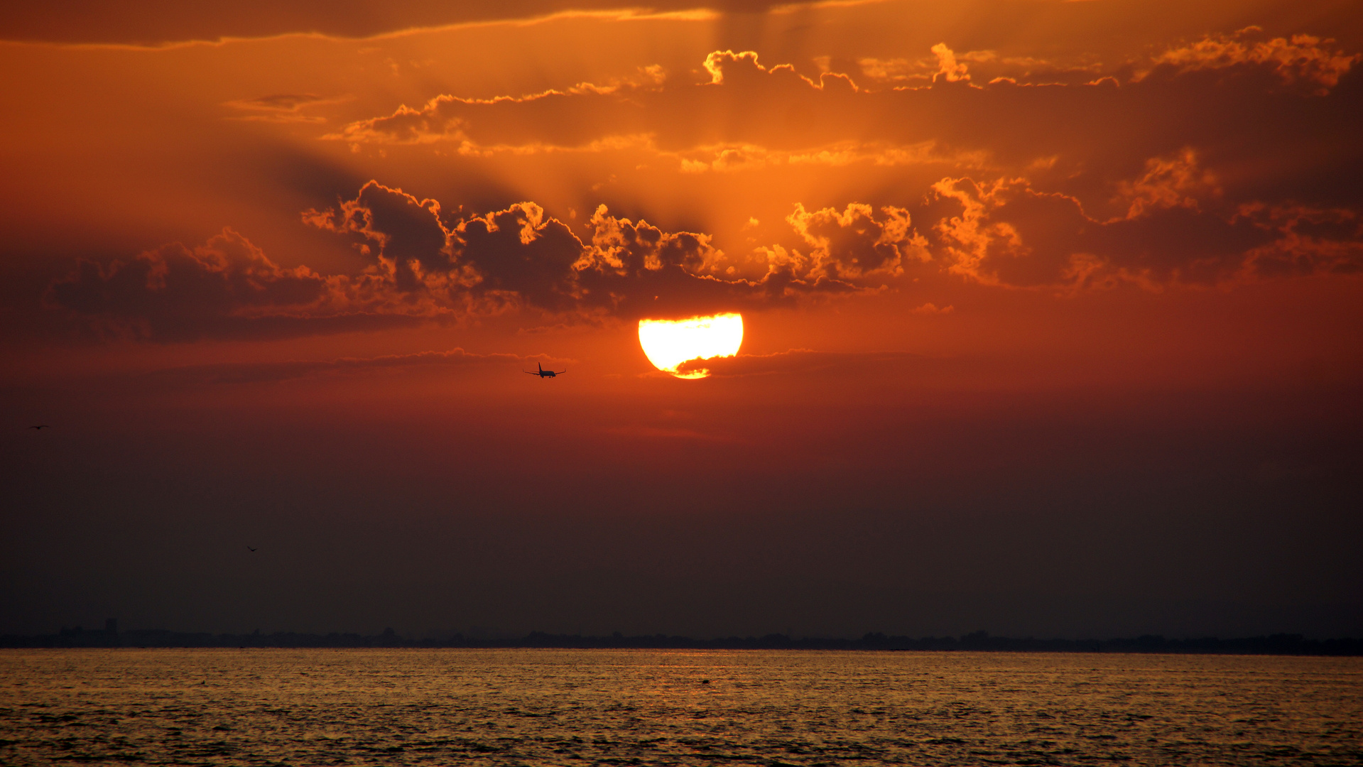 Der Sonne entgegen