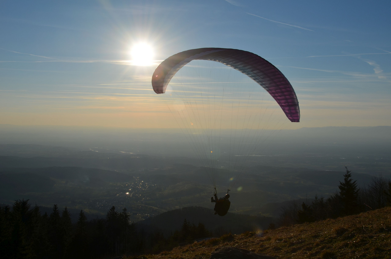 Der Sonne entgegen