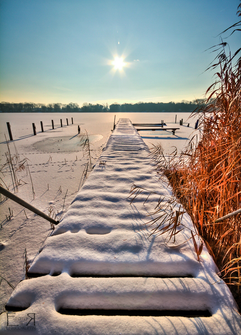 der Sonne entgegen