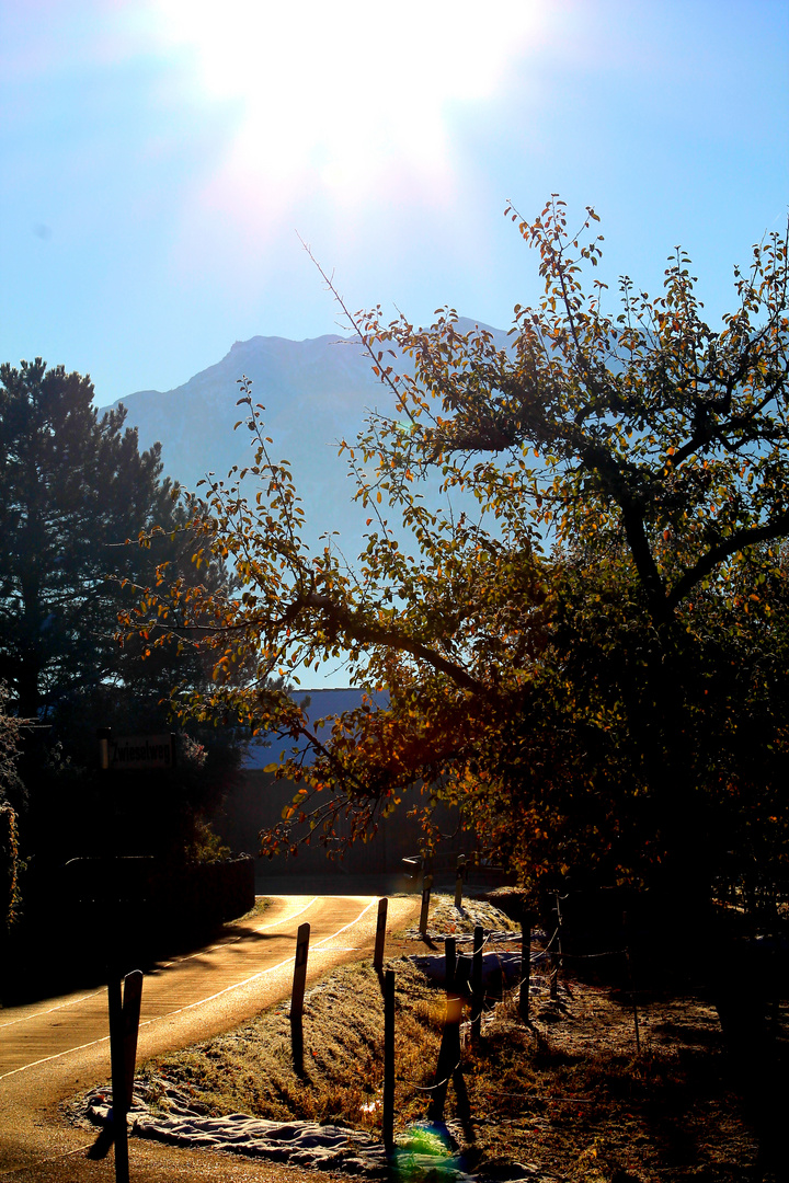 Der Sonne entgegen