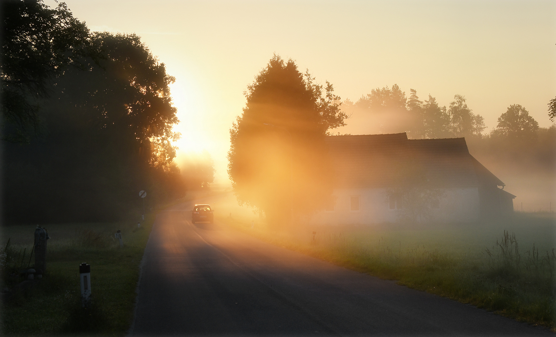 der Sonne entgegen ...