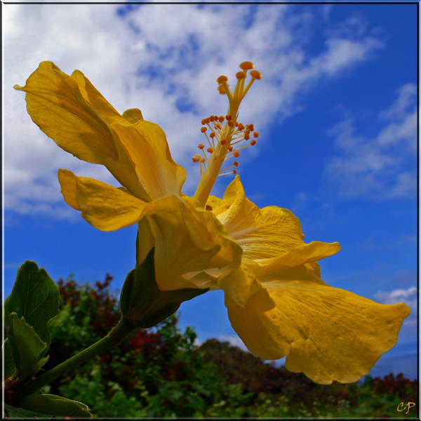 Der Sonne entgegen ...