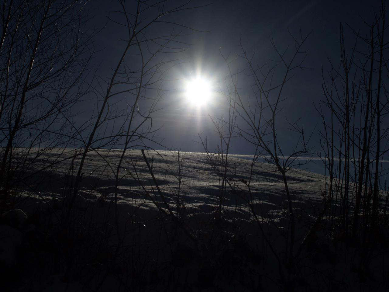 der sonne entgegen