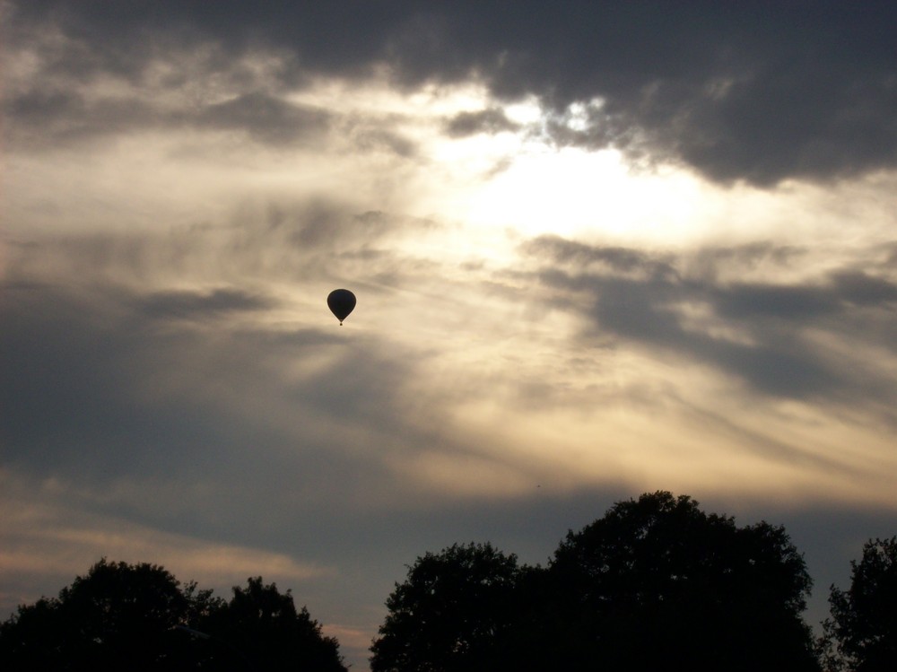 der Sonne entgegen