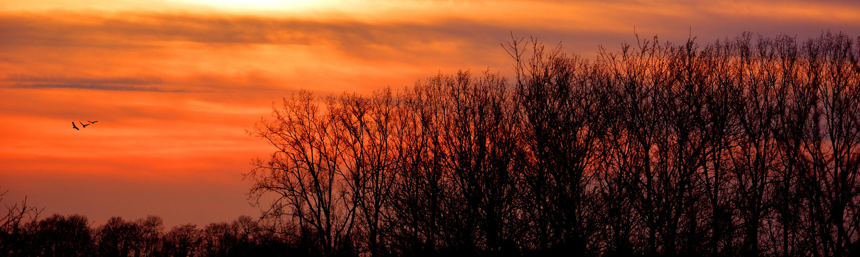 der Sonne entgegen