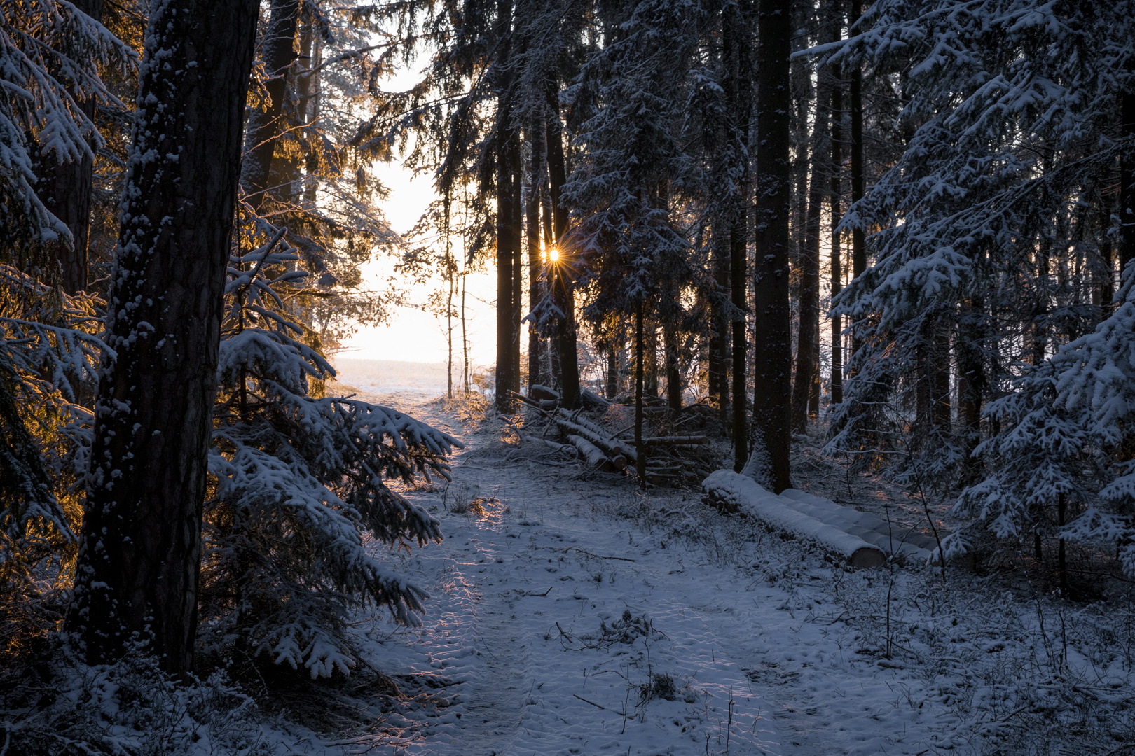 Der Sonne entgegen