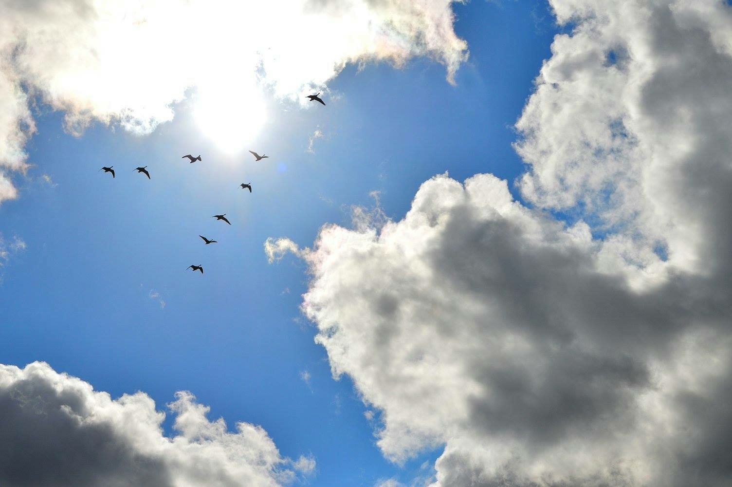 Der Sonne entgegen