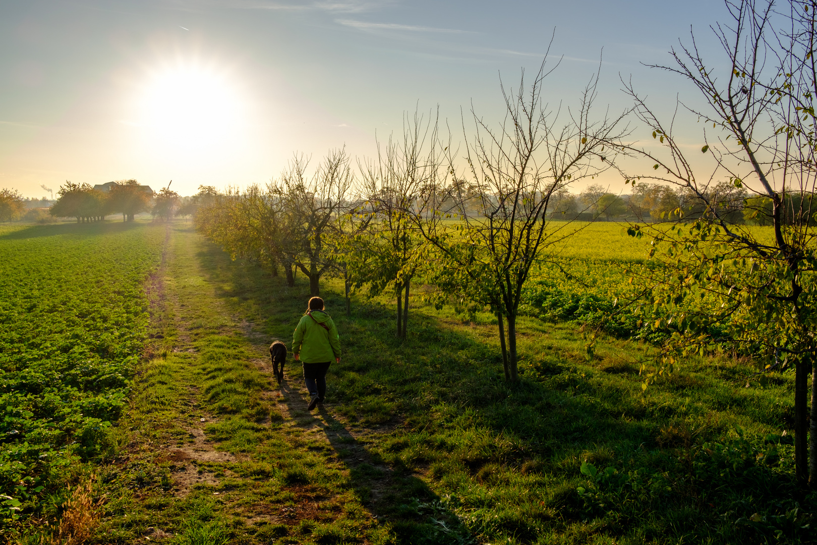 Der Sonne entgegen