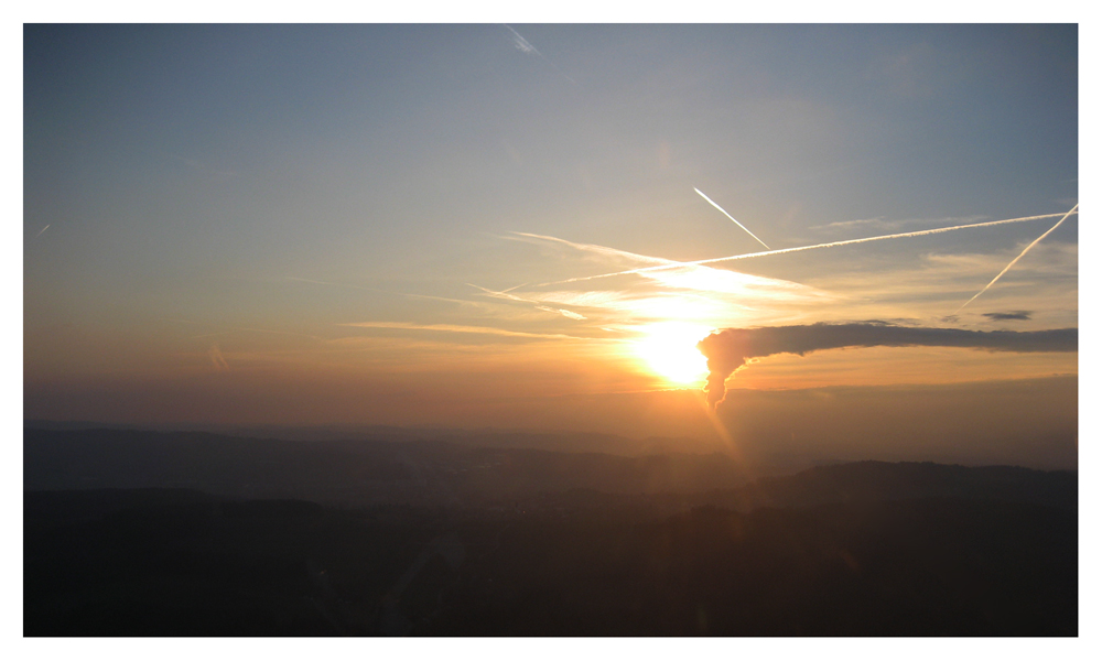 der sonne entgegen