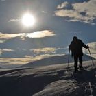 Der Sonne entgegen