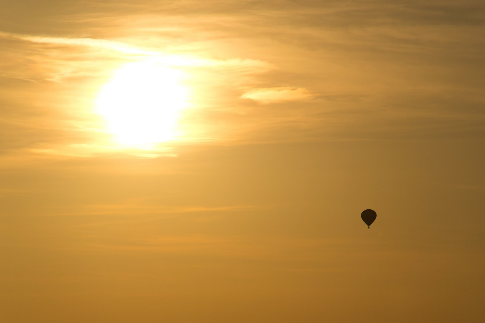 Der Sonne entgegen