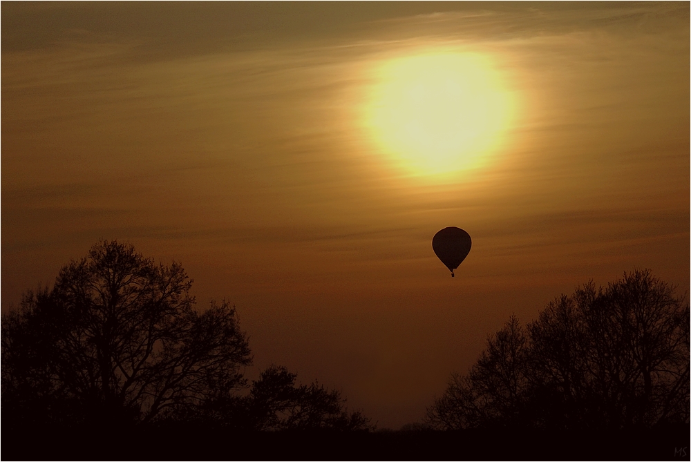 Der Sonne entgegen